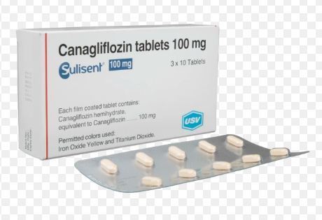 Canagliflozin with Metformin, what is Canagliflozin, Invokana drug class, Invokana for weight loss, Invokana tab 100mg